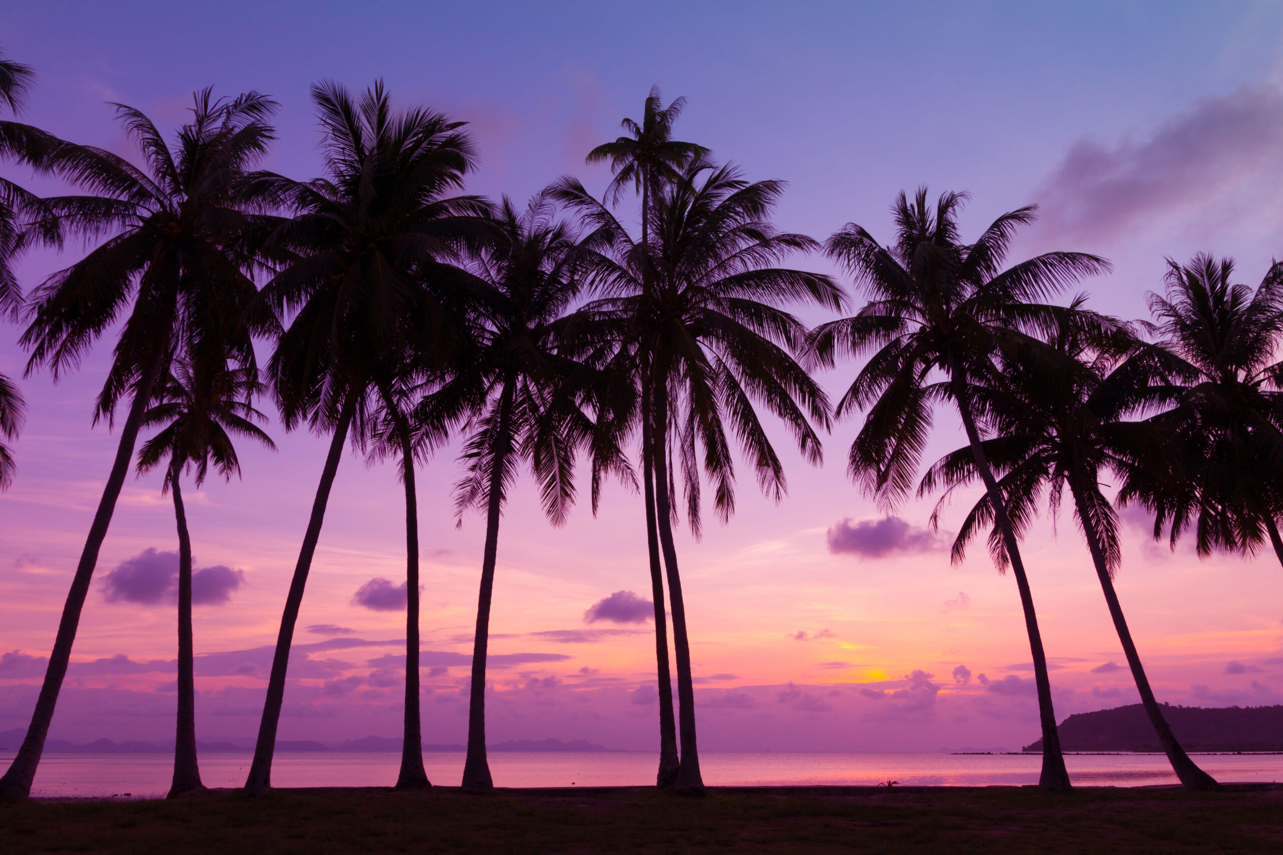 Wonderful Sri Lanka (6 Nights)